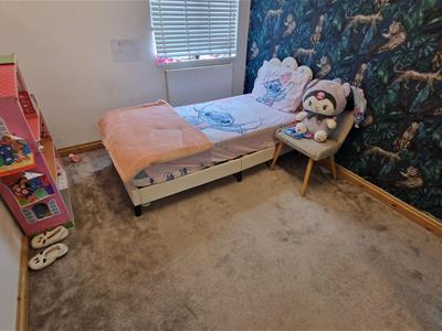 Picture 38